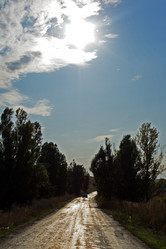 Similar image 8073965