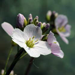 Similar image 8073972