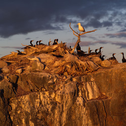 Similar image 8073984