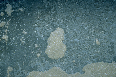 Similar image 8073988