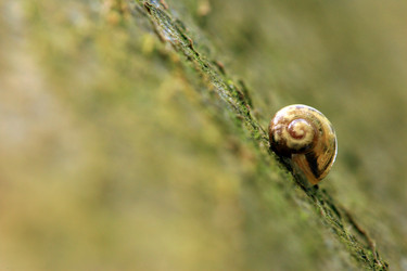 Similar image 8073991