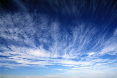 Similar image 8074000