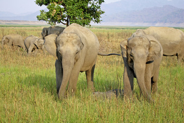 Similar image 8074005