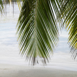 Similar image 8074008