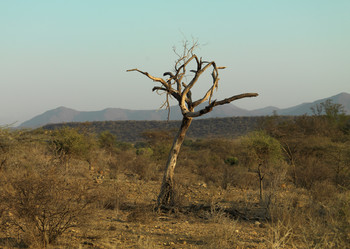 Similar image 8074015