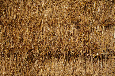 Similar image 8074018