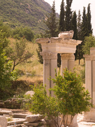 Similar image 8074022