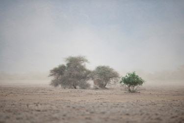 Similar image 8074037