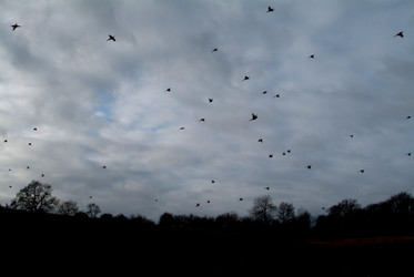 Similar image 8074045