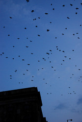 Similar image 8074046