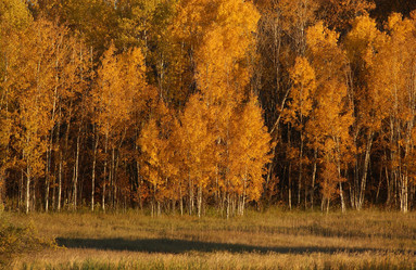 Similar image 8074050