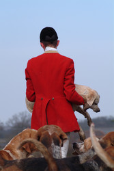 Similar image 8074052