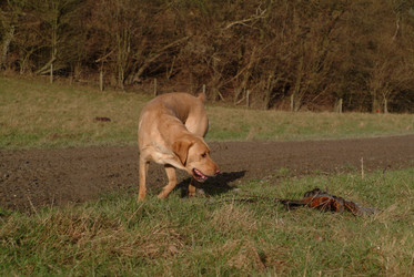 Similar image 8074054