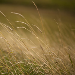 Similar image 8074066