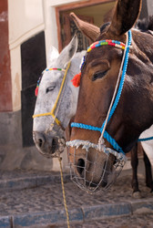 Similar image 8074067