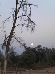 Similar image 8074069