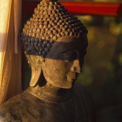 Similar image 8074072