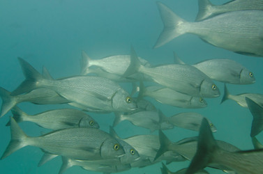 Similar image 8074074