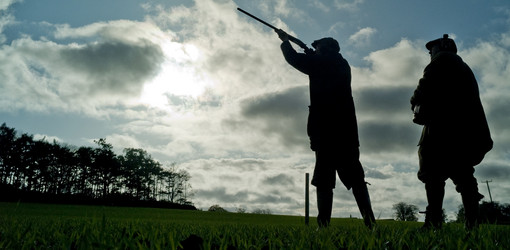 Similar image 8074082