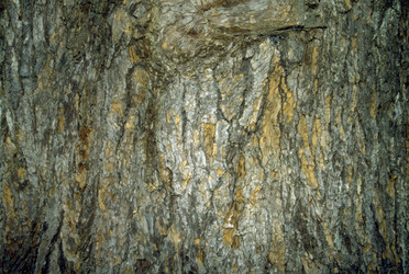 Similar image 8074084