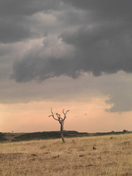 Similar image 8074085