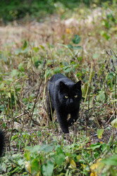 Similar image 8074117