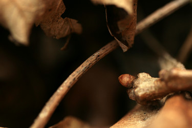 Similar image 8074123