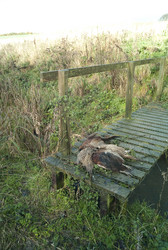 Similar image 8074127