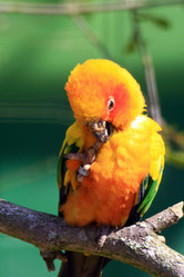 Similar image 8074132