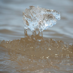 Similar image 8074161