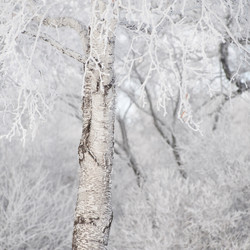 Similar image 8074174