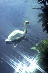 Similar image 8074184