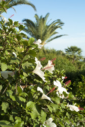 Similar image 8074195