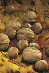 Similar image 8074196