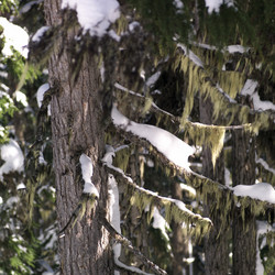 Similar image 8074204