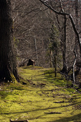 Similar image 8074206