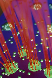 Similar image 8074214