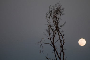 Similar image 8074224