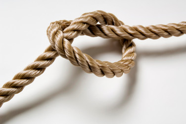 Similar image 8074225