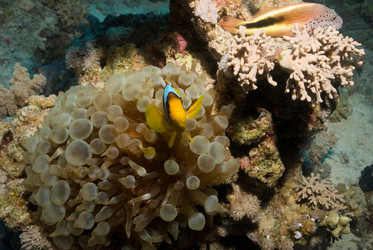 Similar image 8074240