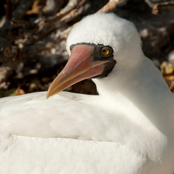 Similar image 8074243