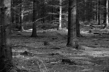 Similar image 8074252