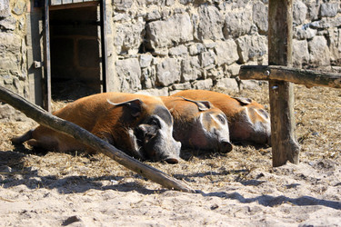 Similar image 8074255