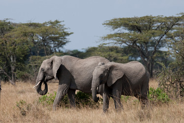 Similar image 8074261