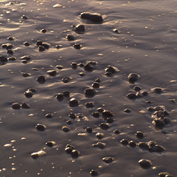 Similar image 8074267