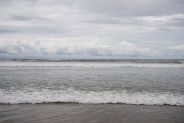 Similar image 8074272