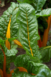 Similar image 8074280