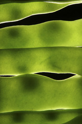 Similar image 8074284