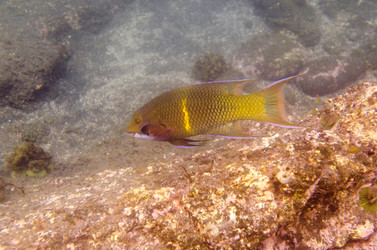 Similar image 8074288