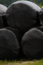 Similar image 8074299